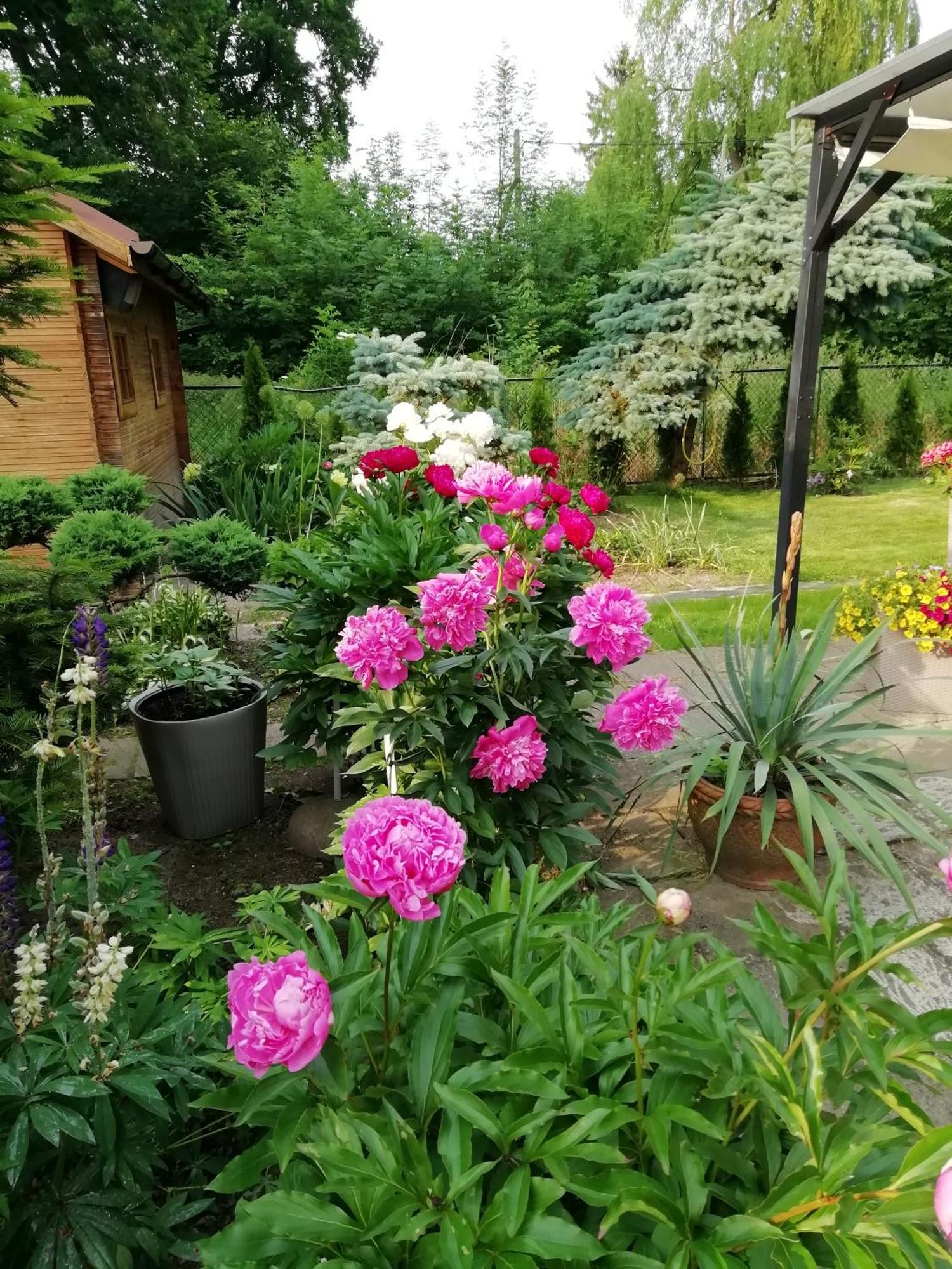 Apartament Wlodek Jelenia Góra Exterior foto